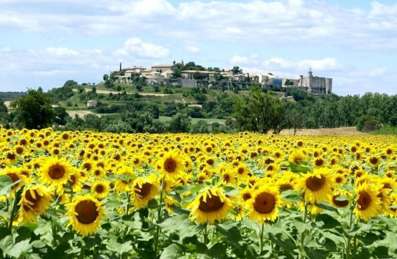 Villa Charmante A Lussan Avec Piscine Privee Et Jardin Closa Экстерьер фото